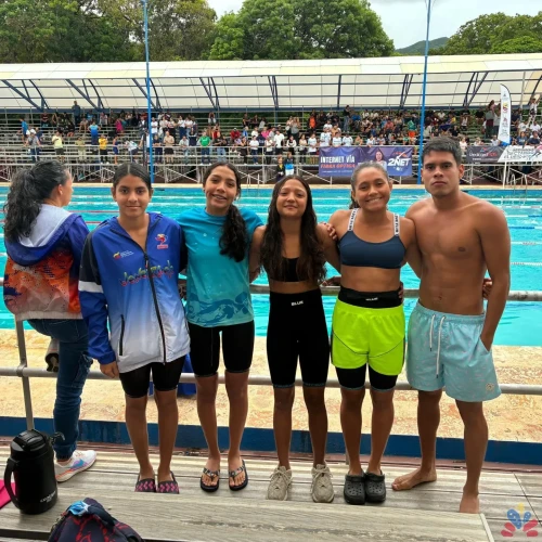 feveda-juvenil-cat--13.webp